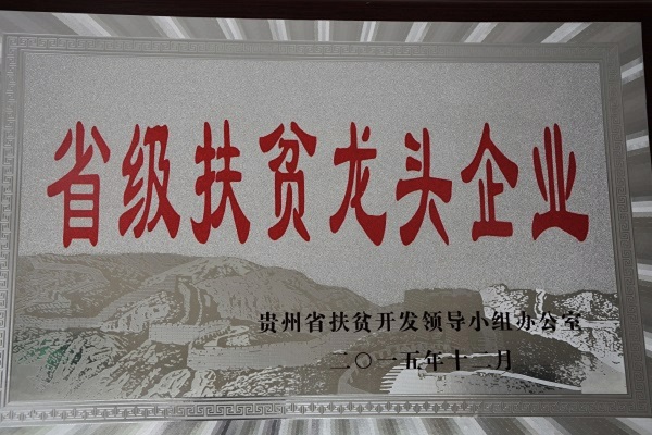 榮譽(yù)資質(zhì)